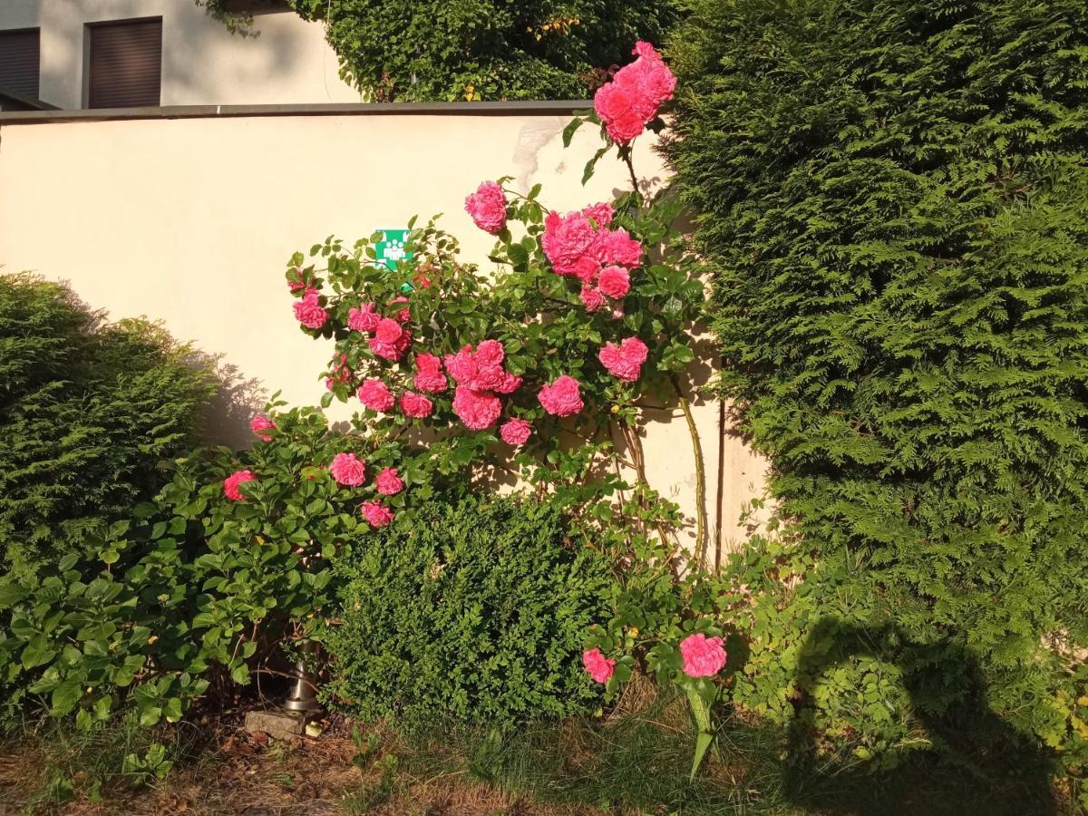 Iwona Hostel - Budget Rooms With Private Bathrooms Sopot Exterior foto