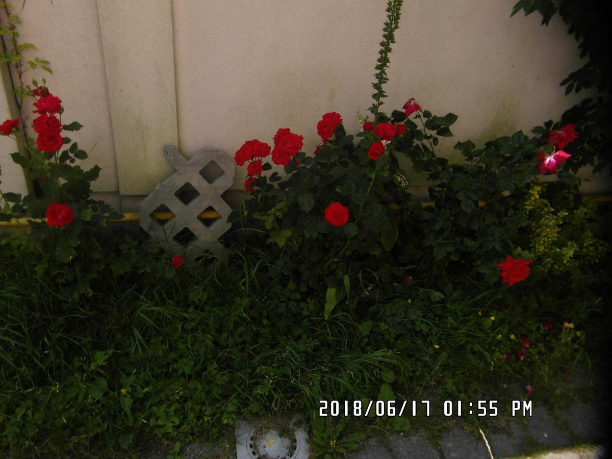 Iwona Hostel - Budget Rooms With Private Bathrooms Sopot Exterior foto